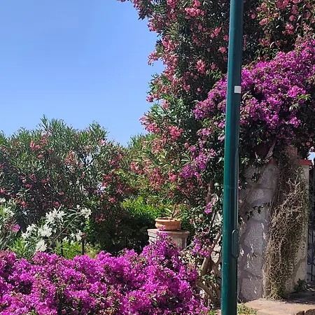 Hotel 4 Stagioni Capri